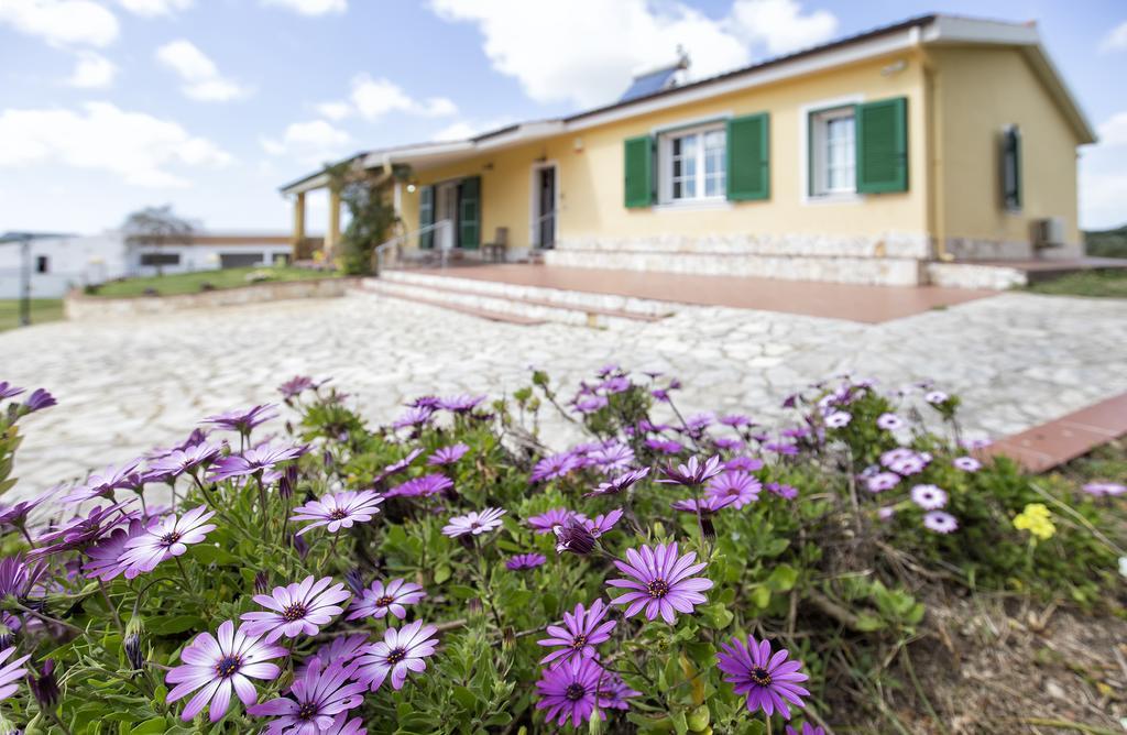 Villa Raimonda Putifigari Zewnętrze zdjęcie